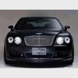 (image for) 2004-2021 Bentayga, Flying Spur, GTC, Continental